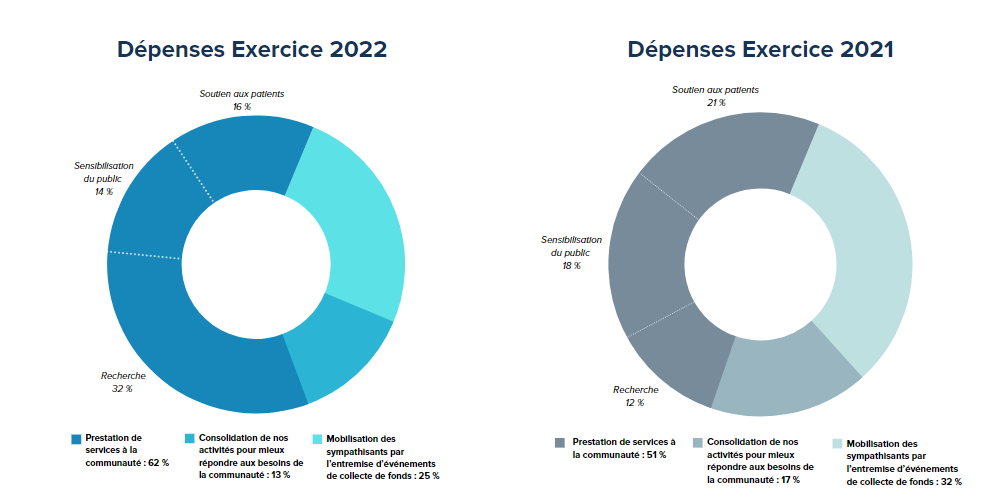 Rapport annuel 2022 - Comparaison des dépenses par camembert
