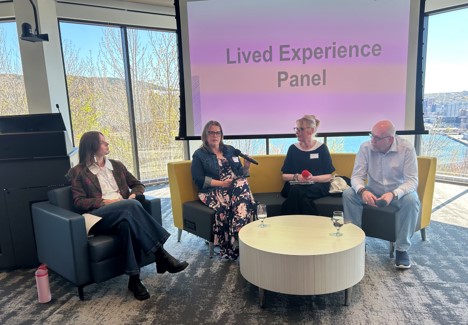 Lived experience panel