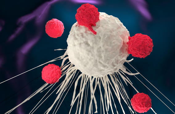 Une image graphique d'une cellule CAR-T