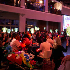 A crowd of people in attandence for a Light The Night event.
