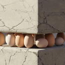 dozens of eggs pressed between two cement blocks
