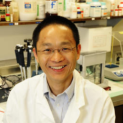Dr. Yuliang Wu