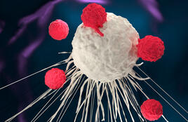 Une image graphique d'une cellule CAR-T